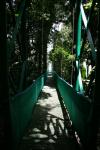 Kostaryka Hanging Bridge
