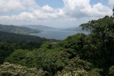 Коста-Рика тропических лесов