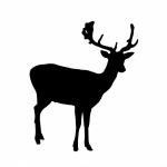 Deer silueta Clipart