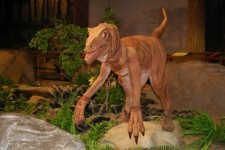 Dinozaur într-un muzeu 2