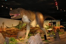 Dinozaur într-un muzeu 4