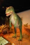 Dinozaur într-un muzeu