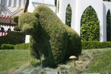Disney Ursul Hedge