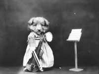 Hond Gekleed Vintage Photo