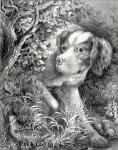 Cane da caccia Vintage Illustrazione