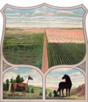 Farming land