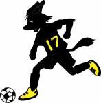 Fox soccer player