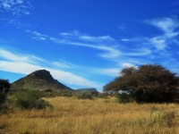 Hill, veld & tree in northern cape