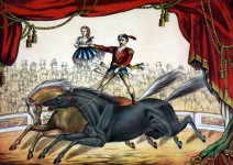 Häst Circus Act Målning