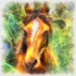 Horse Digital Painting