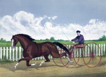 Pintura do cavalo