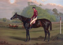 Jockey na pintura do cavalo de corrida