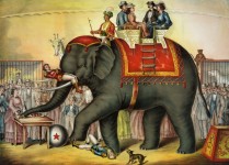 Het uitvoeren van de olifant