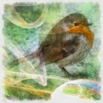 Robin Digital Painting