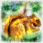 Squirrel Digital Painting