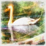 Peinture Swan numérique
