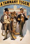 Tammy Tiger Vintage Poster