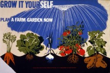 Zeleninová zahrada Vintage Poster