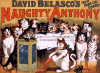 Gatos do vintage Poster Musical
