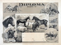 Vintage Diplom för jordbruk