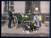 Dog Vintage carrinho Foto