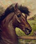 Pintura do cavalo do vintage