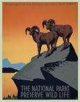 Park Narodowy w stylu vintage Plakat