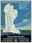 Parque de Yellowstone del vintage impres