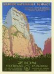Vintage Zion Park Plakát