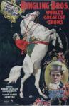 White Horse Circo Poster