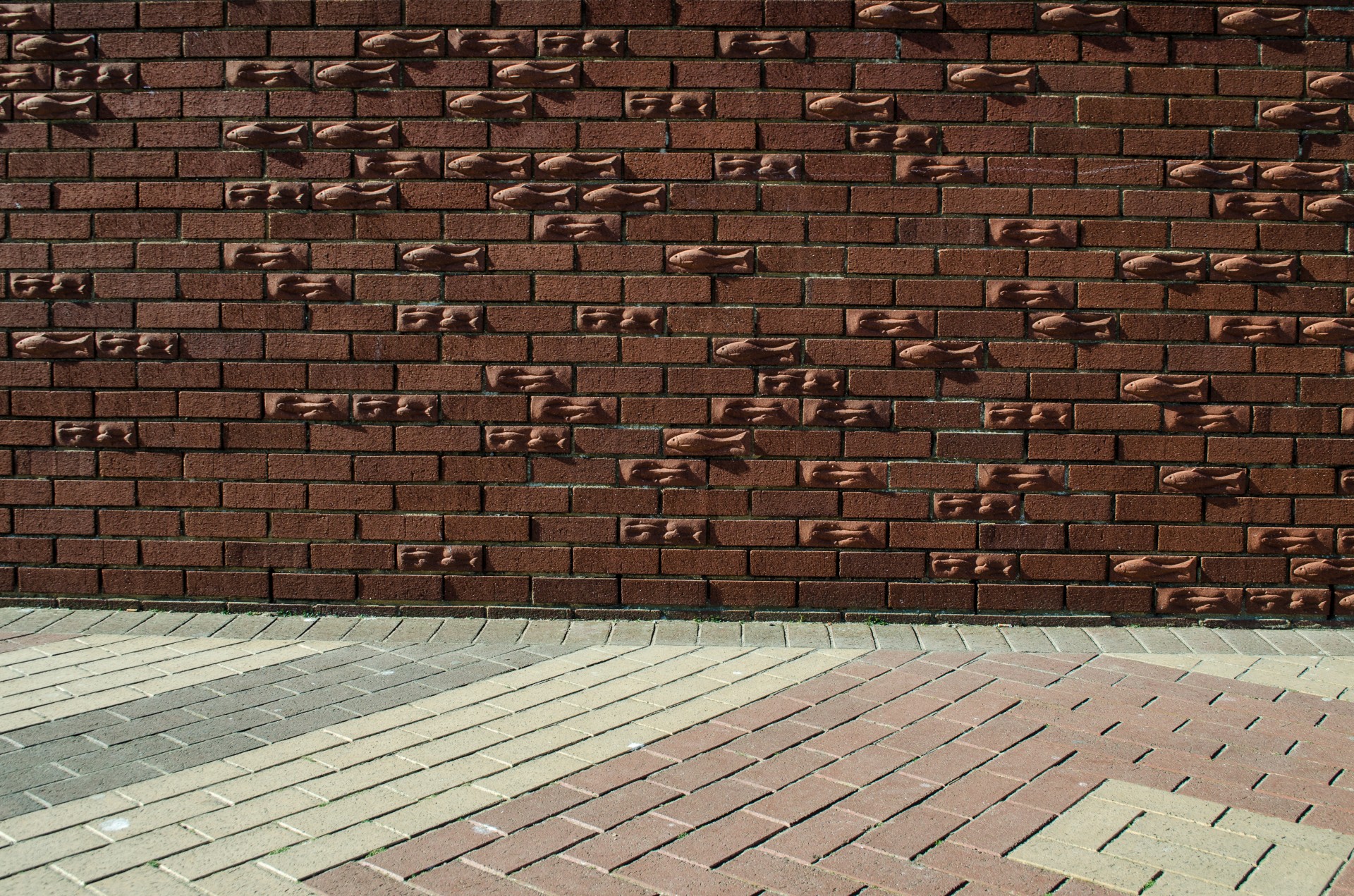 Brick  Wall  And Floor  Free Stock Photo Public Domain Pictures