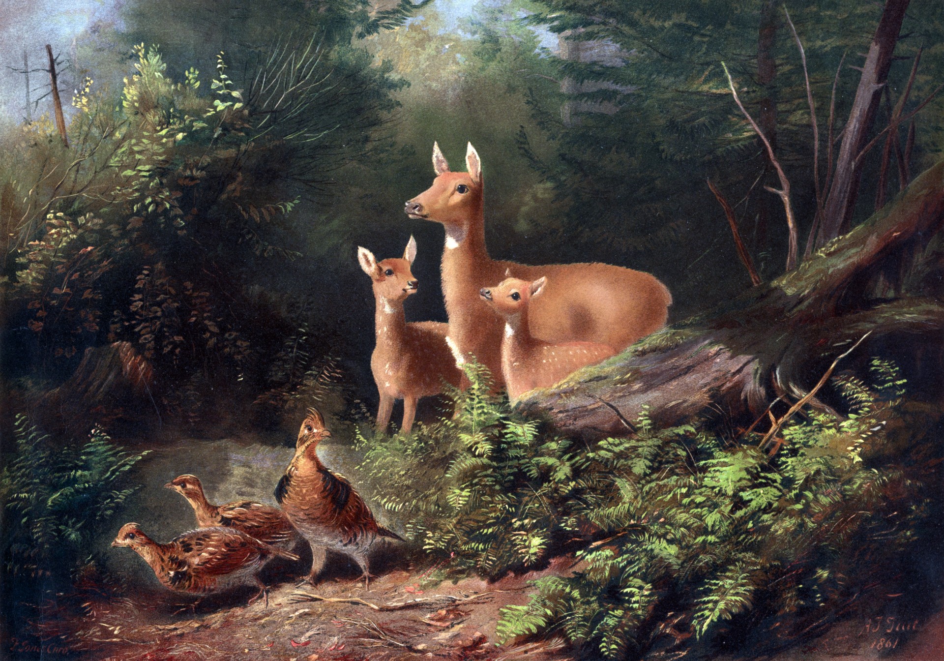 Deer In Woods Painting Free Stock Photo - Public Domain Pictures