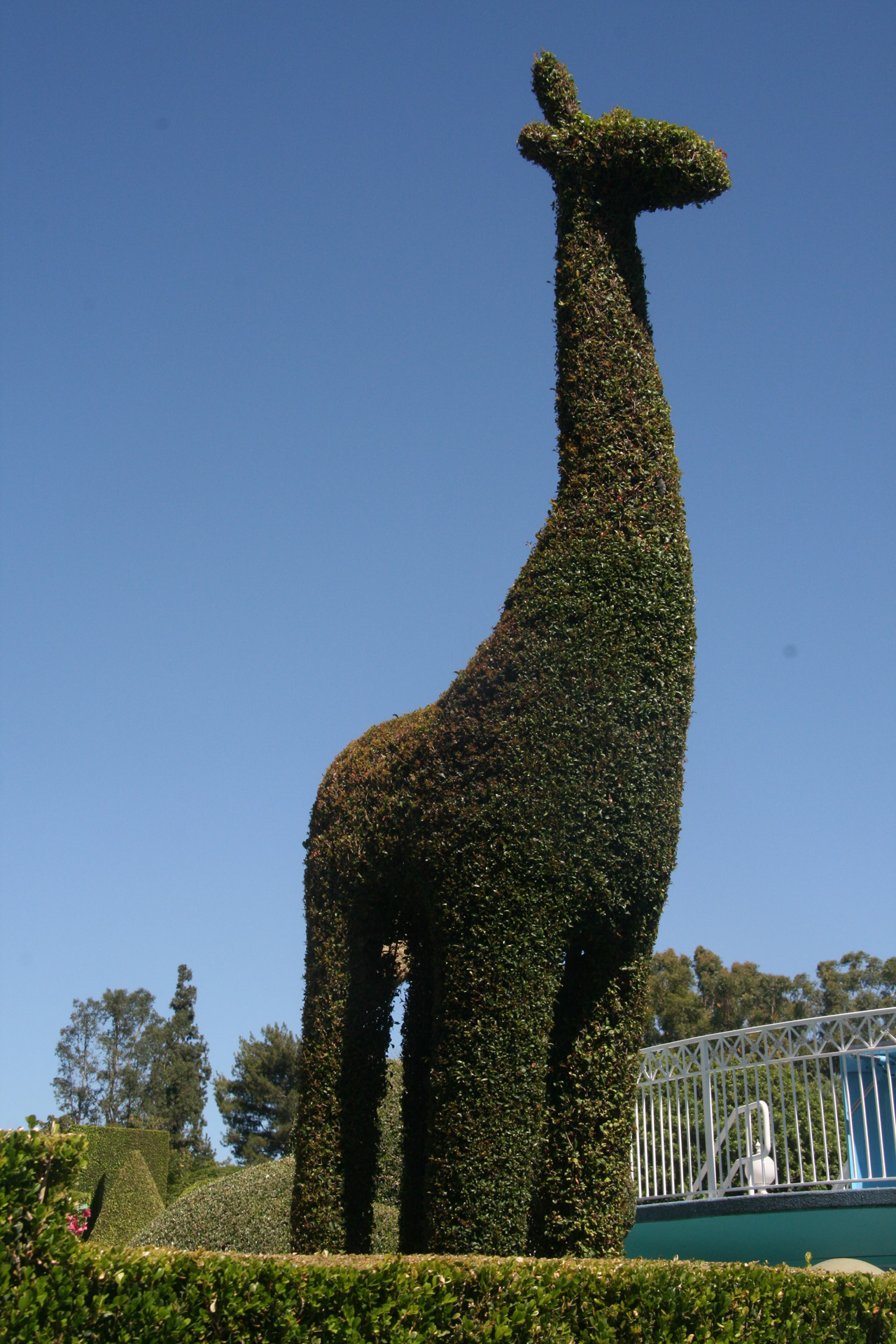Disney Hedge Giraffe