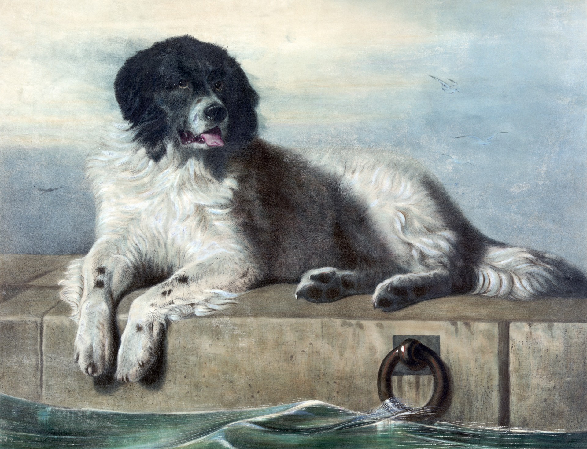 Dog Newfoundland Painting