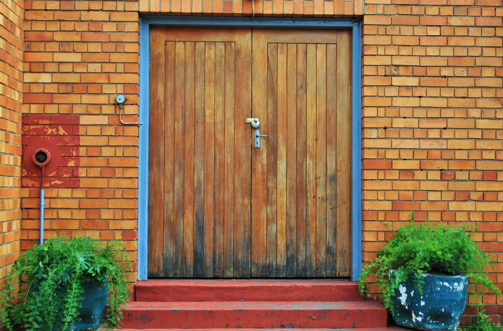 Door With Pot Plants Free Stock Photo - Public Domain Pictures