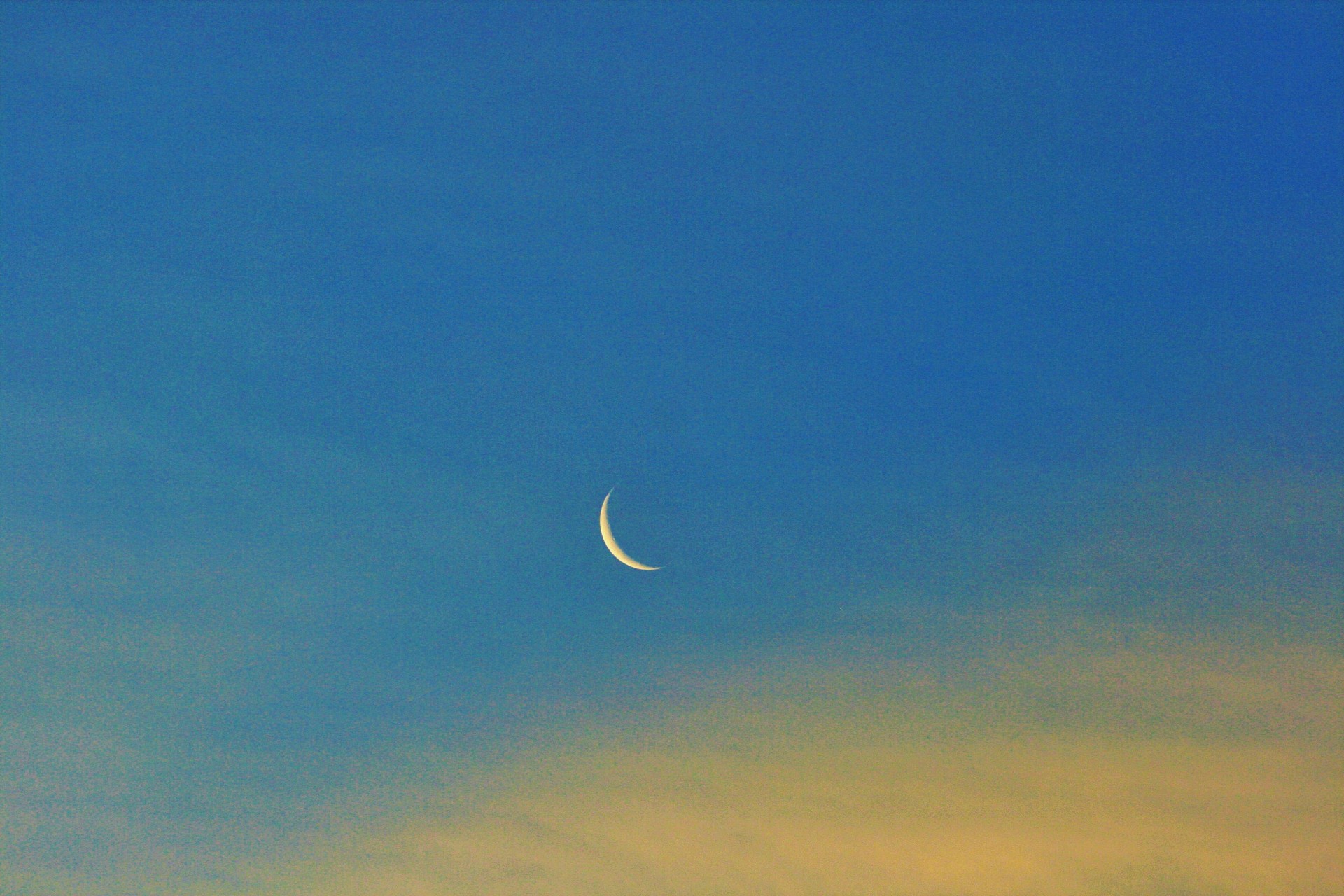Early Crescent Moon