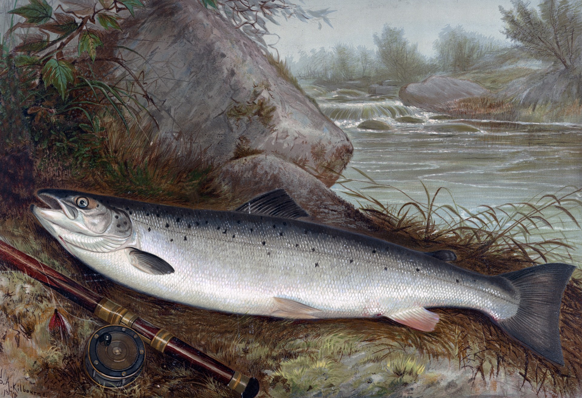 20 of the Most Realistic Fish Paintings You'll Ever See [PICS]