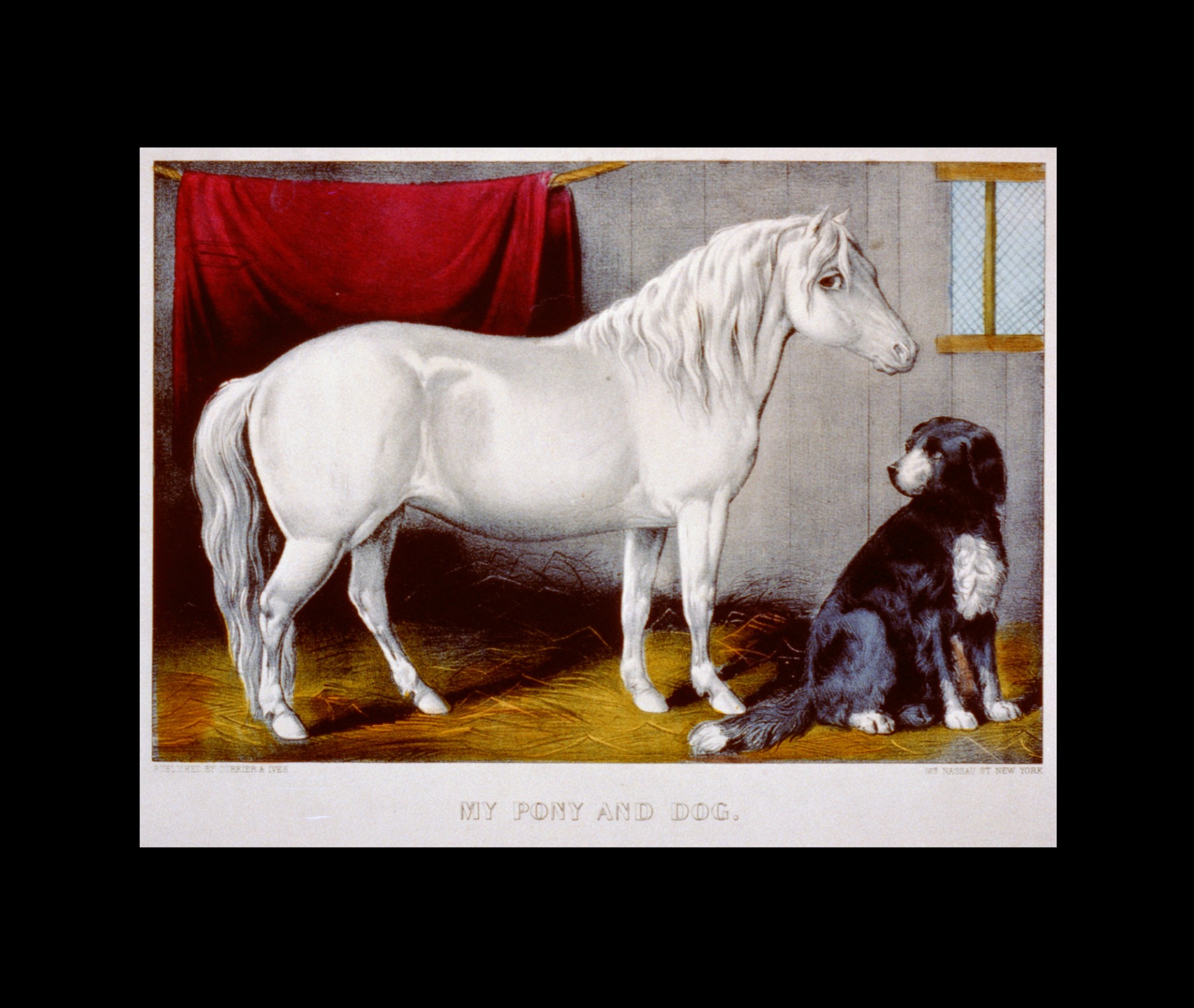 Horse u0026 Dog Painting Free Stock Photo - Public Domain Pictures