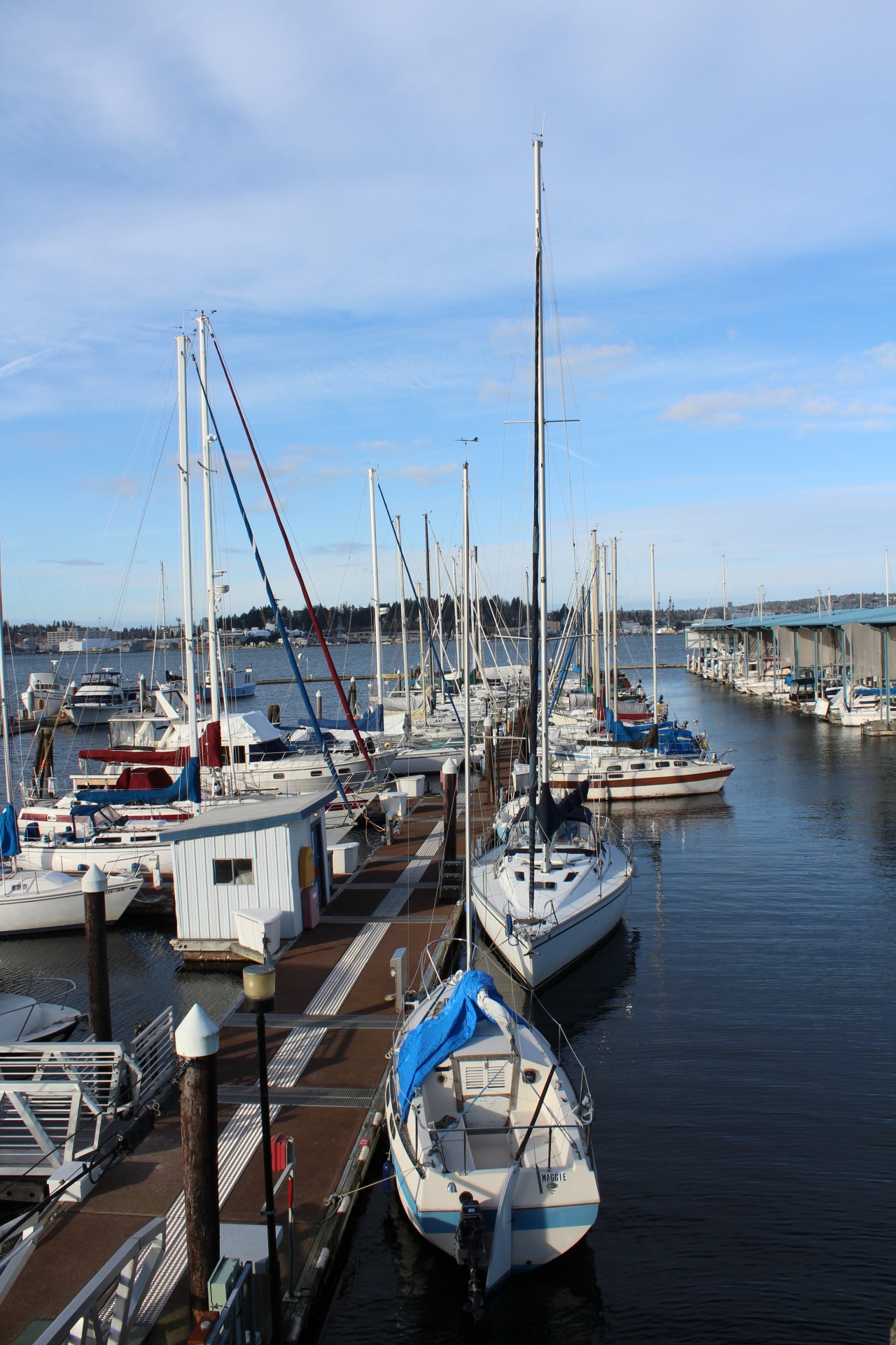 marina-with-boats-free-stock-photo-public-domain-pictures