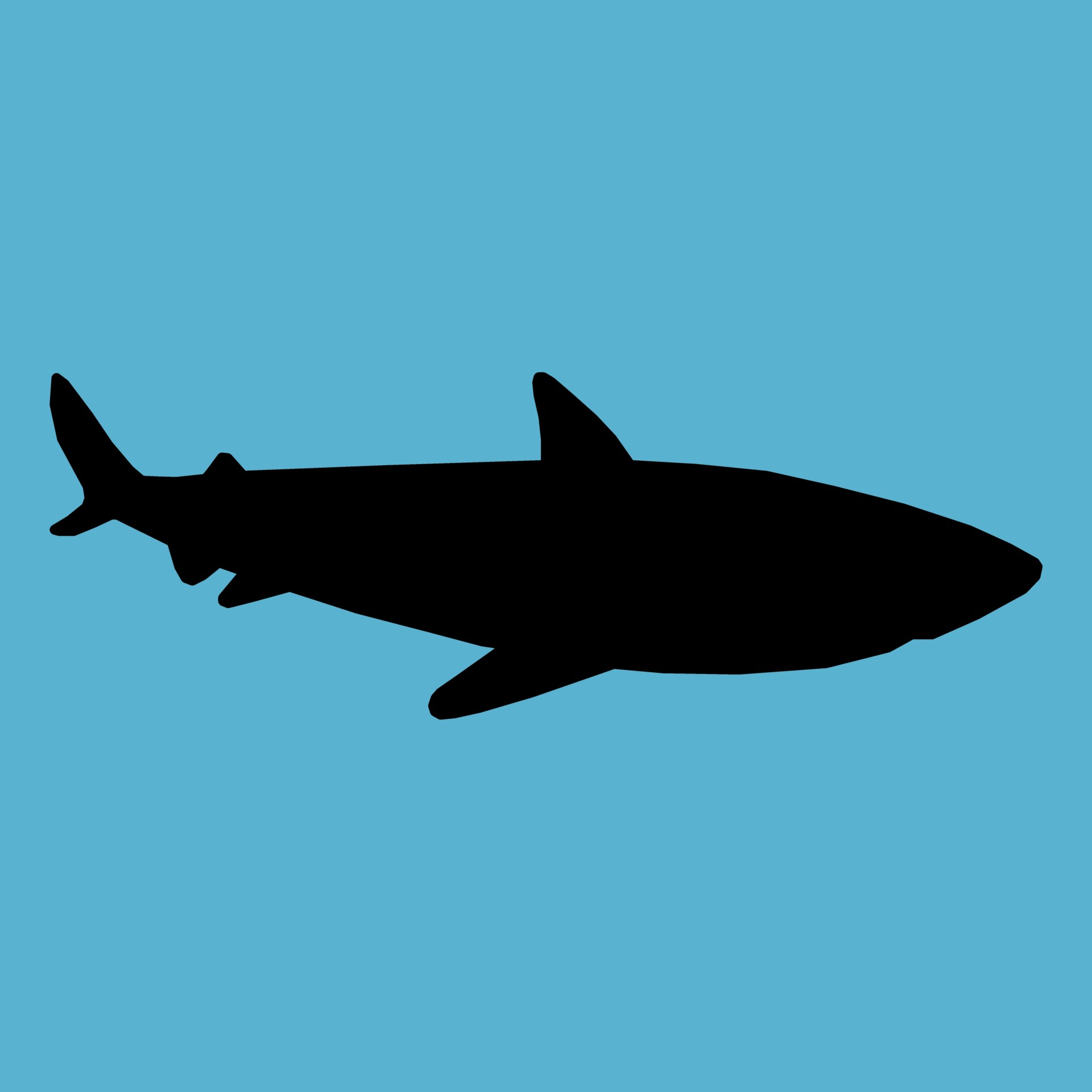Shark Silhouette Free Stock Photo - Public Domain Pictures