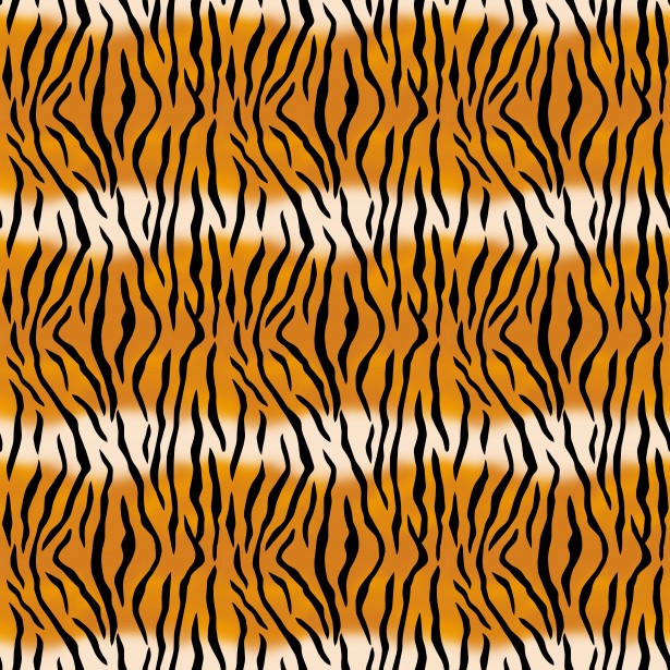 Tiger Pattern Seamless Large Free Stock Photo - Public Domain Pictures