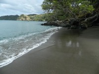 海滩风景新西兰