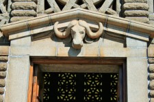 Testa di Buffalo sopra l'entrata