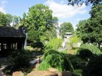 Čínská zahrada II