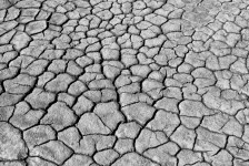 Tierra agrietada seca