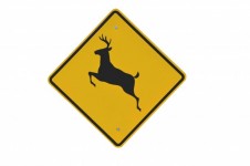 Deer Crossing Anmelden