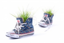 Gras in den alten Schuhen