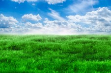 Zelená tráva a modré nebe