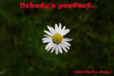 Niemand ist perfekt