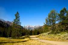 Droga do lasu w Wyoming